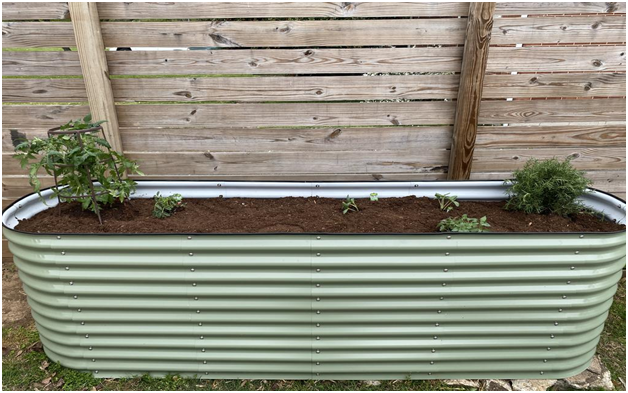 Why Are Raised Garden Beds Perfect For Areas Receiving Heavy Rainfall?