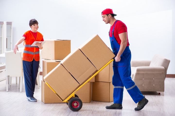 Safe Ship Moving Services